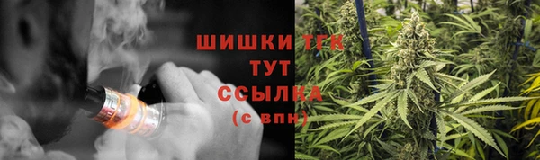 гидра Белокуриха