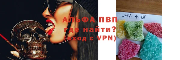 гидра Белокуриха