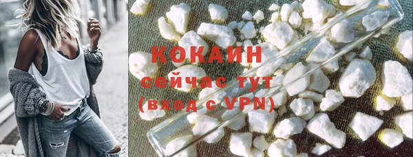 гидра Белокуриха