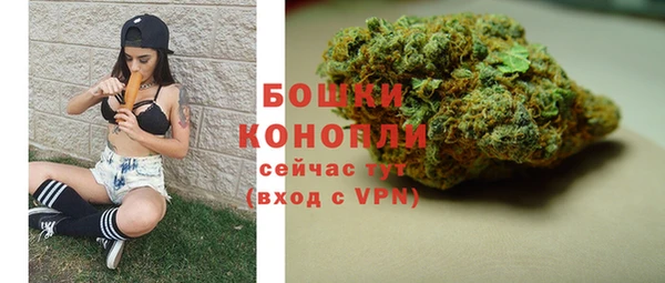 гидра Белокуриха