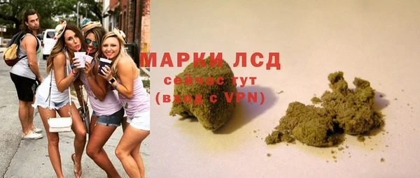 гидра Белокуриха