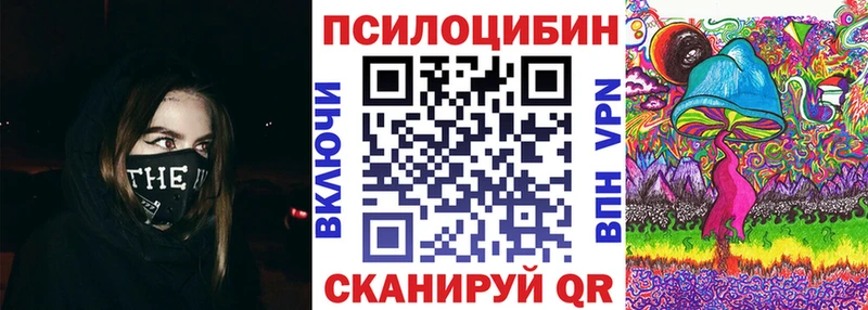 kraken зеркало  Кодинск  Псилоцибиновые грибы Psilocybine cubensis 